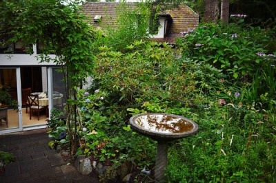 Prato, giardino ed orto pensile: vivere il verde anche in città